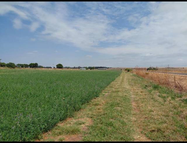FARM FOR SALE IN BOSCHFONTEIN AH